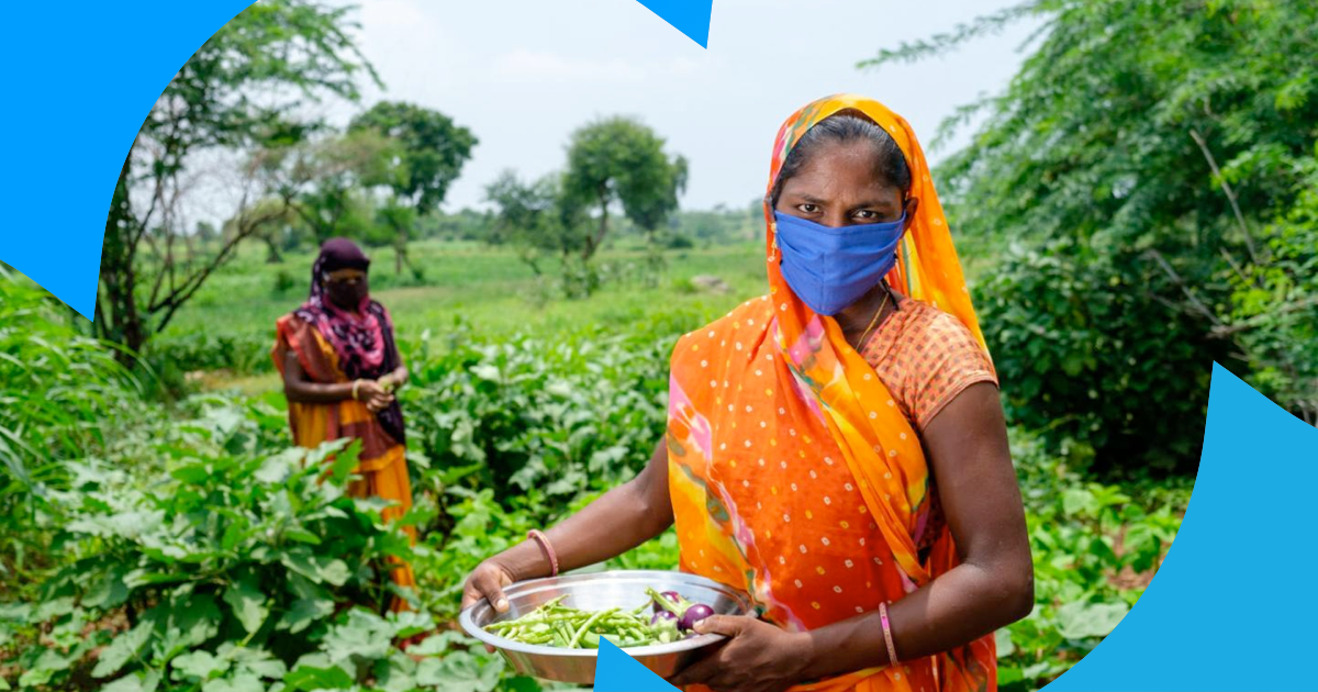 Picture of women in India harvesting vegetables.